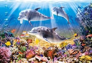Дельфины Пазлы 500 элементов